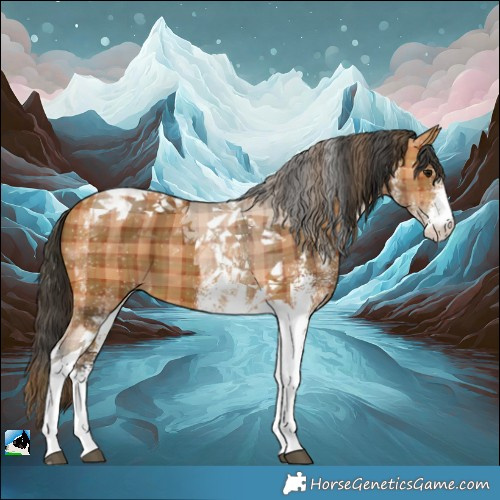 Horse Color:Plaid  White Spotted Bay Tobiano 
