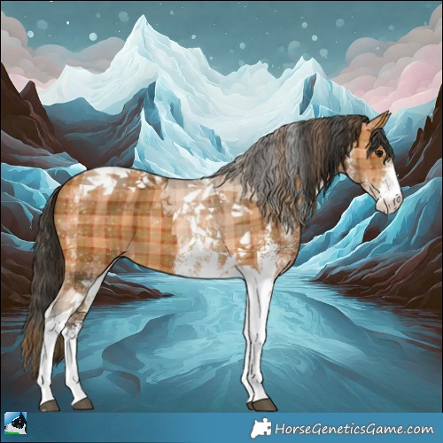 Horse Color:Plaid  White Spotted Bay Tobiano 