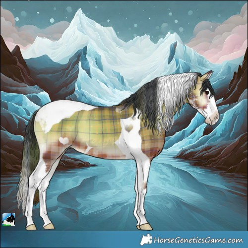 Horse Color:Plaid Bay Onyx Sabino Splash Tobiano