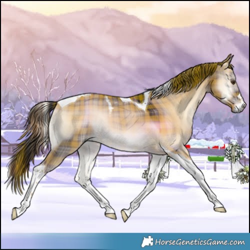 Horse Color:Plaid Liver Red Dun Onyx Tobiano Rabicano