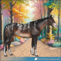 Horse Color:Powder White Brown