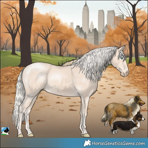 Horse Color:Cremello Rabicano