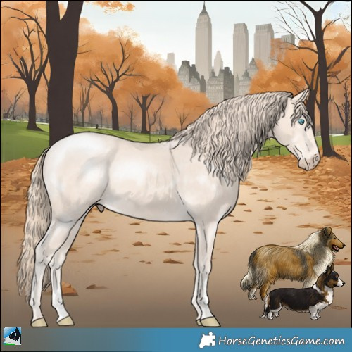 Horse Color:Perlino Mushroom Sabino Rabicano 