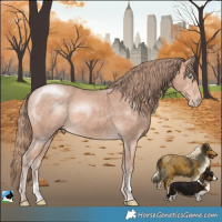 Horse Color:Perlino Mushroom Sabino Rabicano 