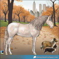 Horse Color:Perlino Mushroom Sabino Rabicano 