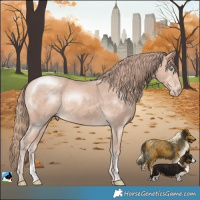 Horse Color:Perlino Mushroom Sabino Rabicano