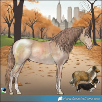 Horse Color:Perlino Mushroom Sabino Rabicano 