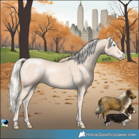Horse Color:Cremello Rabicano
