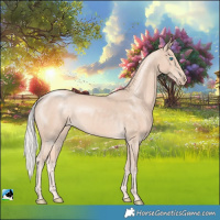 Horse Color:Cremello Rabicano