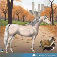 Horse Color:Cremello Rabicano 