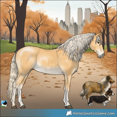 Horse Color:Palomino Sabino Rabicano 