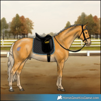 Horse Color:Palomino Rabicano 
