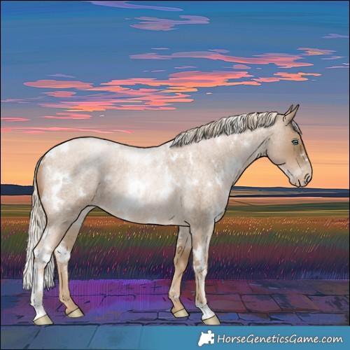 Horse Color:White Spotted Chocolate Palomino Roan Pearl