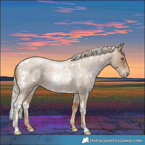 Horse Color:White Spotted Chocolate Palomino Roan Pearl 