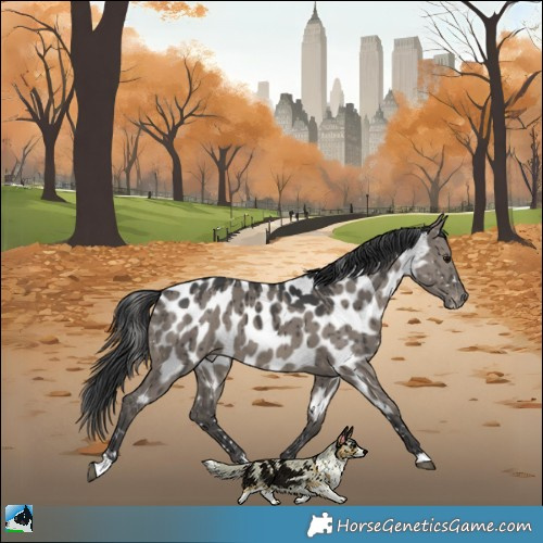 Horse Color:Grullo Appaloosa Rabicano Brindle 
