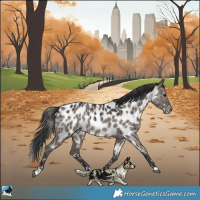 Horse Color:Grullo Appaloosa Rabicano Brindle