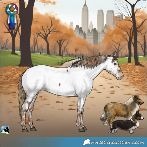 Horse Color:Liver Red Dun Near Fewspot Rabicano Brindle