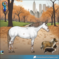 Horse Color:Liver Red Dun Near Fewspot Rabicano Brindle 