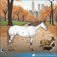 Horse Color:Liver Red Dun Appaloosa Rabicano Brindle 