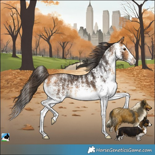 Horse Color:White Spotted Buckskin Splash 
