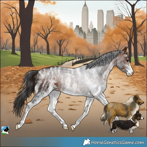 Horse Color:Powder White White Spotted Bay 