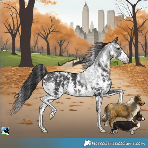 Horse Color:Brown Ice Sabino Rabicano 
