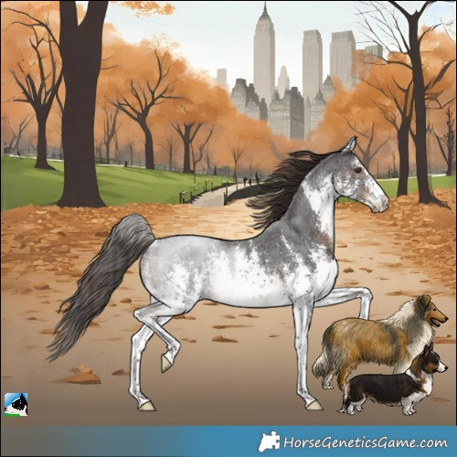 Horse Color:White Spotted Liver Chestnut Sabino Rabicano