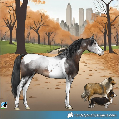 Horse Color:Brown Sabino Tobiano