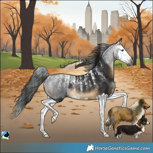 Horse Color:Powder White Gray White Spotted Buckskin Splash Rabicano