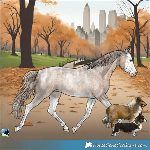 Horse Color:Powder White Chocolate Palomino Roan Splash Rabicano