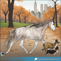 Horse Color:Powder White Chocolate Palomino Roan Splash Rabicano
