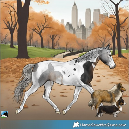 Horse Color:Gray White Spotted Silver Brown Tobiano 
