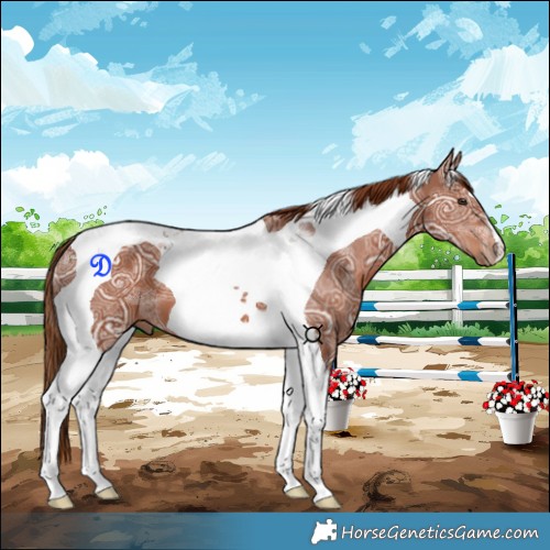 Horse Color:Chestnut Ice Tobiano 