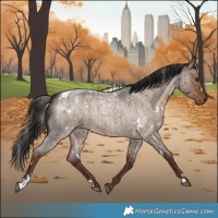 Horse Color:White Spotted Liver Red Dun Roan Brindle 