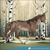 Horse Color:Liver Red Dun Sabino Tobiano