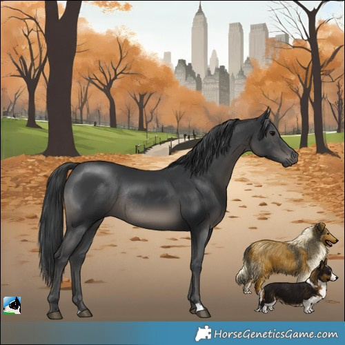 Horse Color:Black Mushroom Rabicano