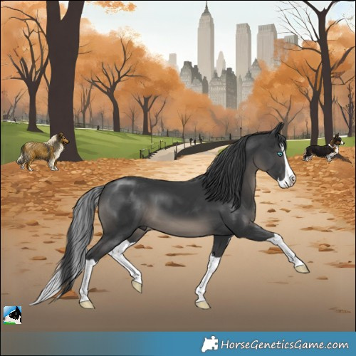 Horse Color:Black Mushroom Splash 