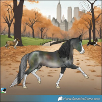 Horse Color:Black Mushroom Splash