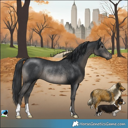 Horse Color:Black Mushroom Rabicano