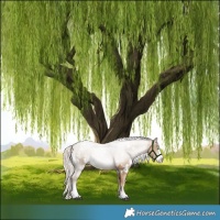 Horse Color:White Spotted Chocolate Palomino Pearl Sabino