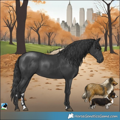 Horse Color:Black Mushroom Rabicano 