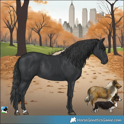 Horse Color:Black Mushroom Rabicano