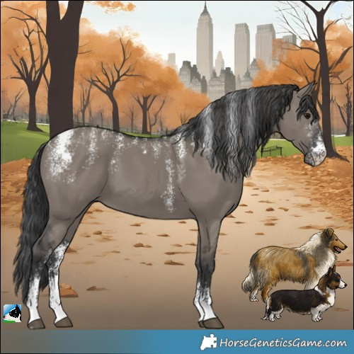 Horse Color:Powder White Grullo 