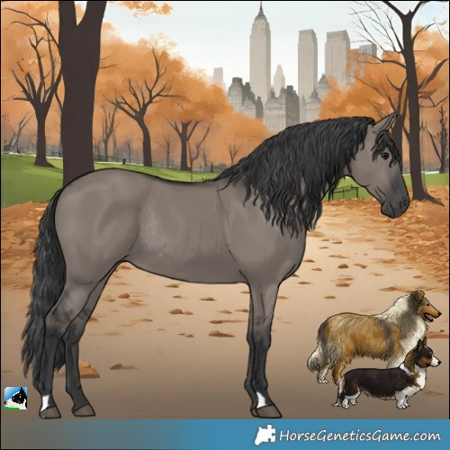 Horse Color:Grullo Rabicano 