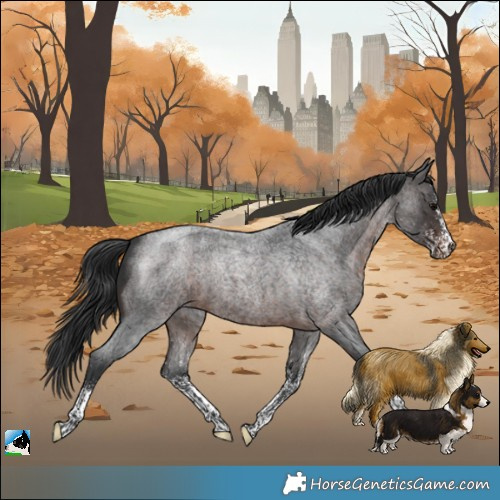 Horse Color:White Spotted Brown Roan 