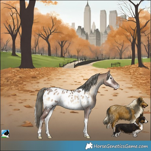 Horse Color:Liver Red Dun Onyx Mushroom Sabino Tobiano Appaloosa Rabicano