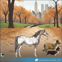 Horse Color:Liver Red Dun Onyx Mushroom Sabino Tobiano Near Leopard Rabicano 