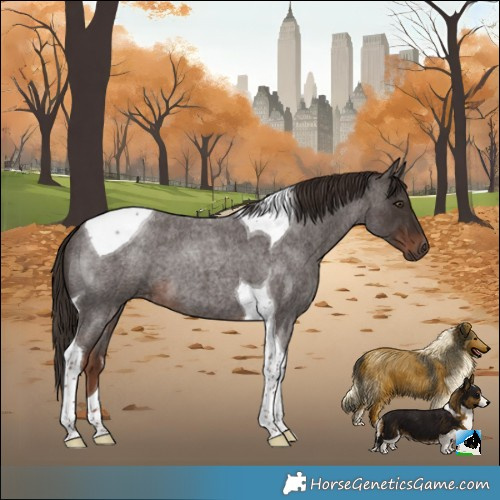 Horse Color:Liver Red Roan Tobiano 