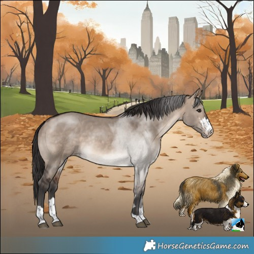 Horse Color:Brown Dun Mushroom Rabicano 