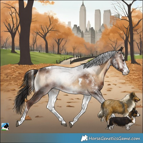 Horse Color:White Spotted Liver Red Onyx Tobiano Rabicano 